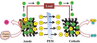 Biofilm Engineering Approaches for Improving the Performance of Microbial Fuel Cells and Bioelectrochemical Systems